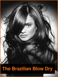 Brazilian-Blow-Dry