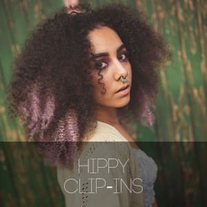 HIPPY-CLIP-INS