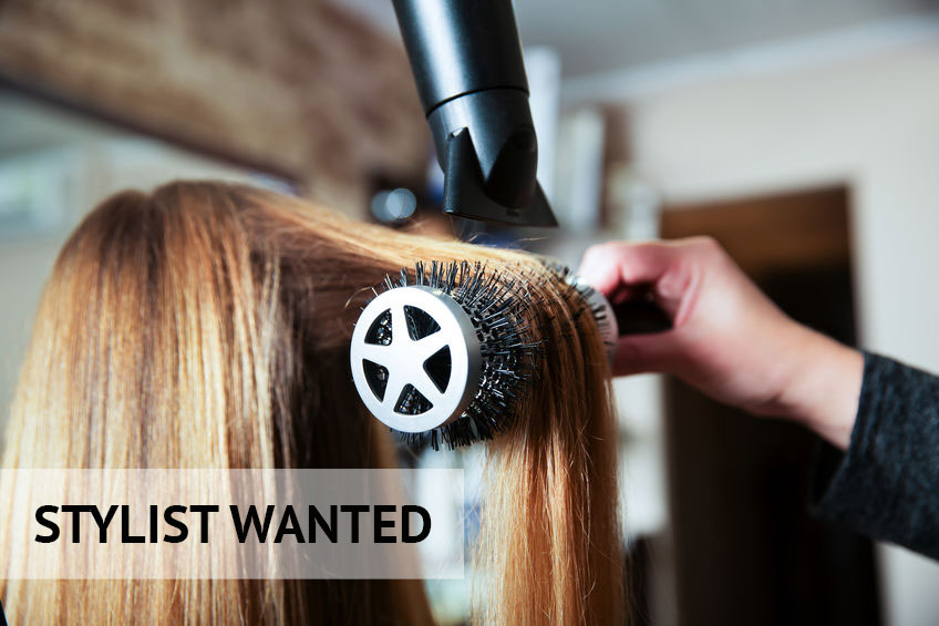 stylist wanted