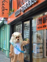 Suzy Bear at Voodou